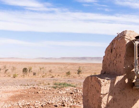 Balades à cheval à Lalla Takerkouste : une expérience inoubliable